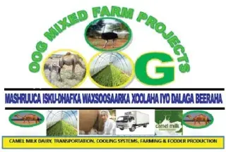 OOG Mixed Farm